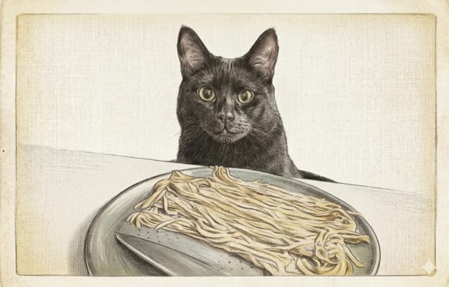 Carm the cat